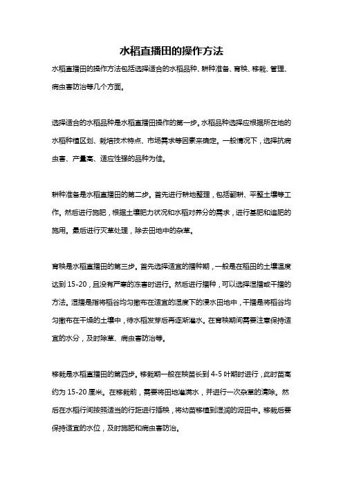 水稻直播田的操作方法