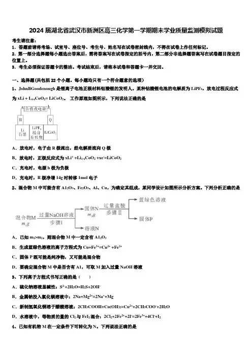 2024届湖北省武汉市新洲区高三化学第一学期期末学业质量监测模拟试题含解析