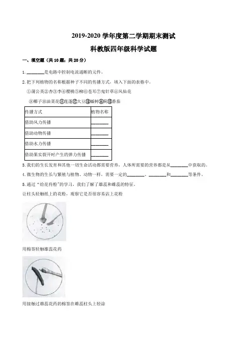 2020科教版四年级下册科学《期末检测题》及答案解析