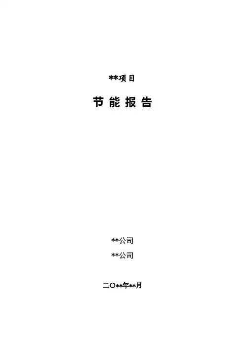 节能报告模板