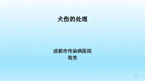 犬伤的伤口处理讲课PPT课件