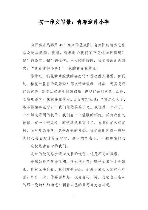 初一作文写景：青春这件小事_7