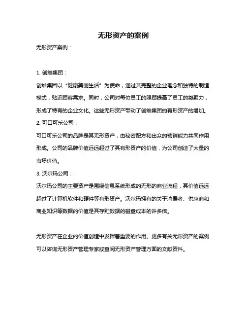 无形资产的案例