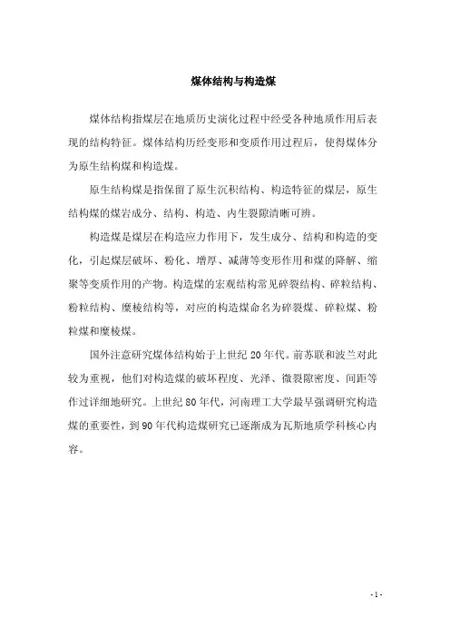 煤体结构(原生结构煤+构造煤)