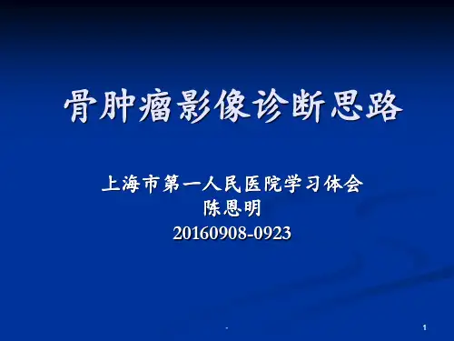 骨肿瘤影像诊断思路PPT课件