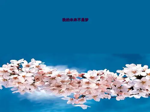心理健康教育 我的未来不是梦ppt课件