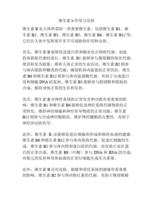 维生素b作用与功效