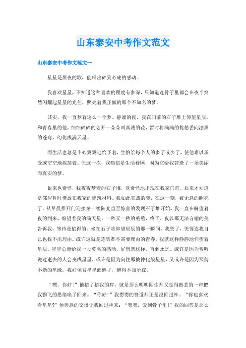 山东泰安中考作文范文