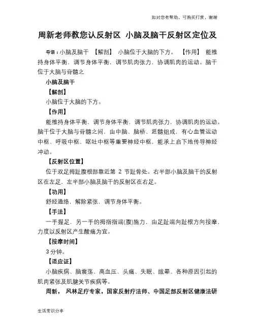周新老师教您认反射区 小脑及脑干反射区定位及