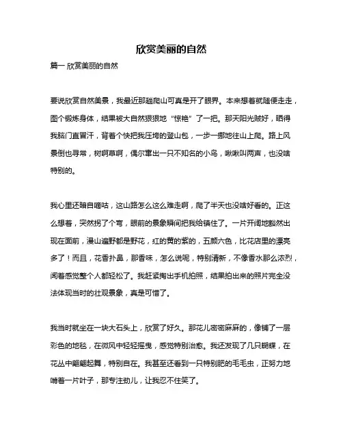 作文《欣赏美丽的自然》