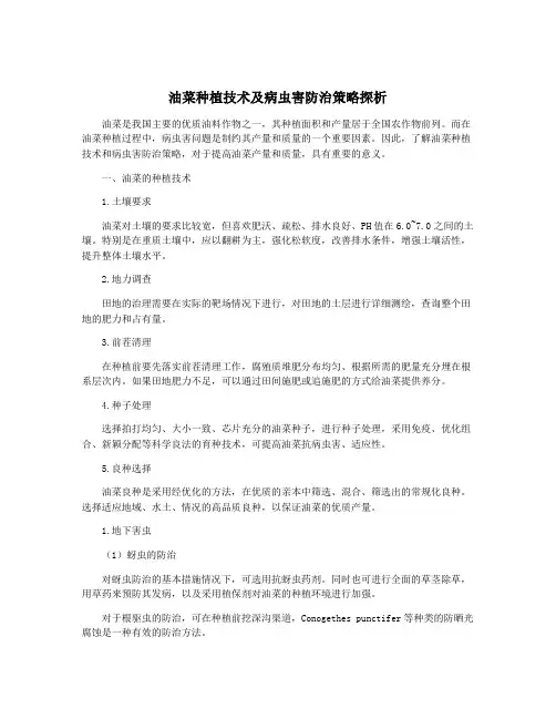 油菜种植技术及病虫害防治策略探析
