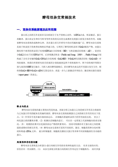 酵母双杂交技术