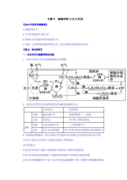 2016年高考生物考纲解读及热点难点试题演练专题05细胞呼吸与光合作用Word版含解析