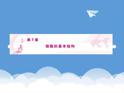 2020高三生物一轮复习 第3章 第1、3节细胞膜—系统的