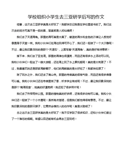学校组织小学生去三亚研学后写的作文