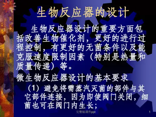 《生物反应器》PPT课件