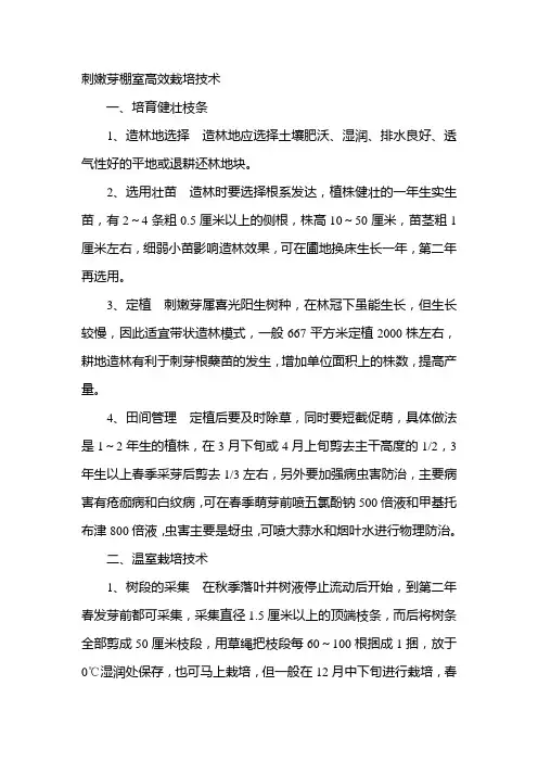 刺嫩芽棚室高效栽培技术