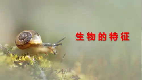 1.1.1+生物的特征课件+-2024--2025学年+人教版生物学七年级上册
