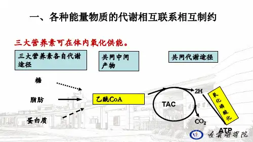 物质代谢的相互联系