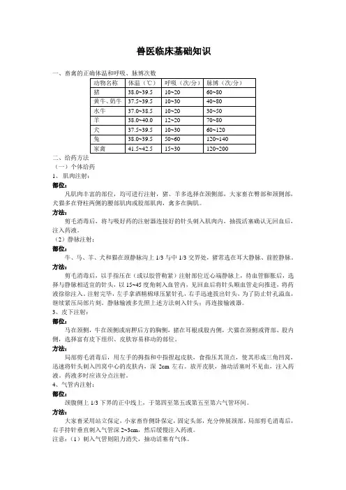兽医临床基础知识