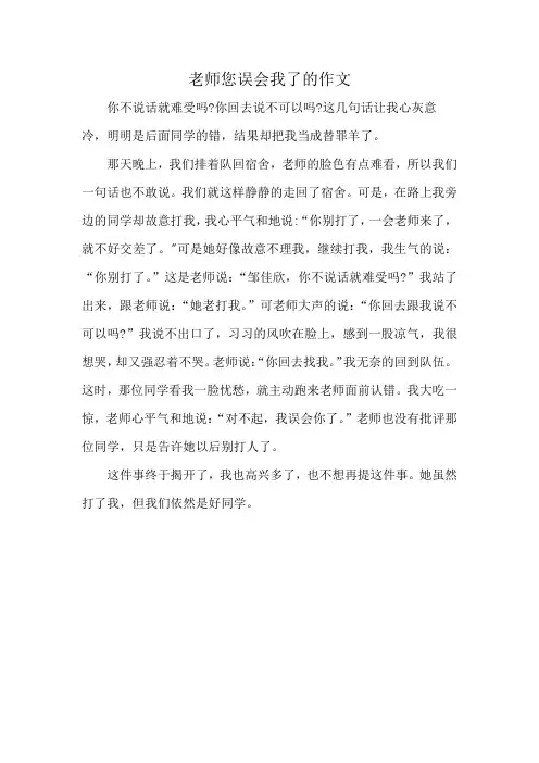 老师您误会我了的作文