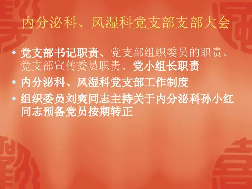 党支部书记职责