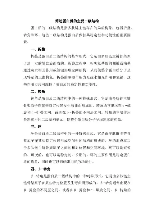 简述蛋白质的主要二级结构
