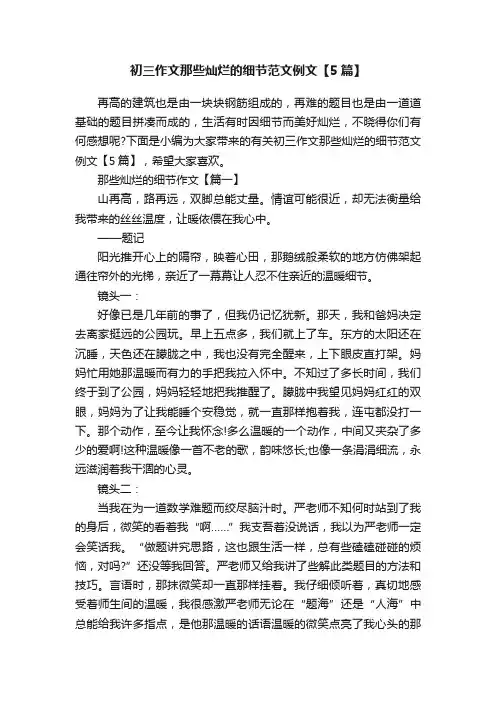 初三作文那些灿烂的细节范文例文【5篇】