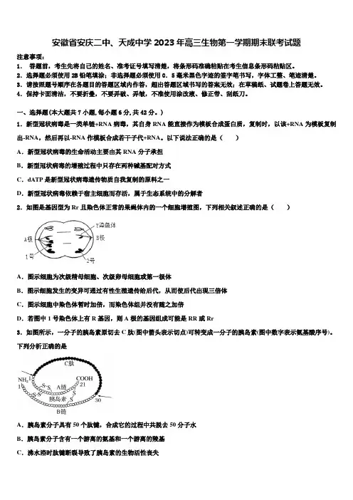 安徽省安庆二中、天成中学2023年高三生物第一学期期末联考试题含解析