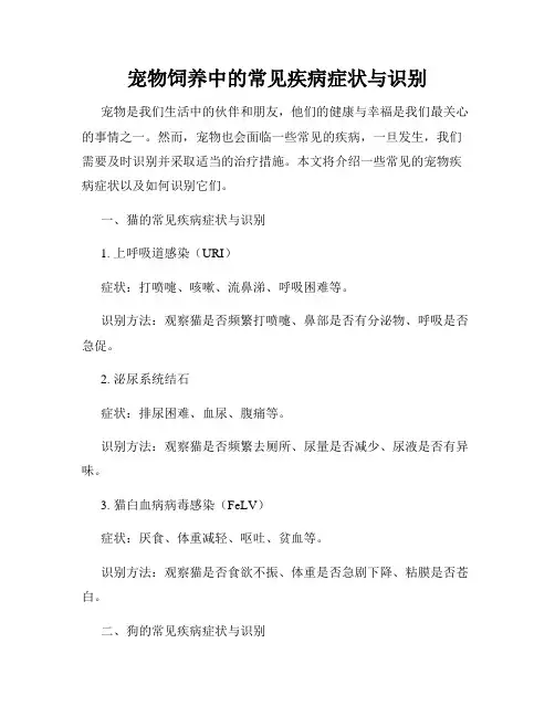 宠物饲养中的常见疾病症状与识别