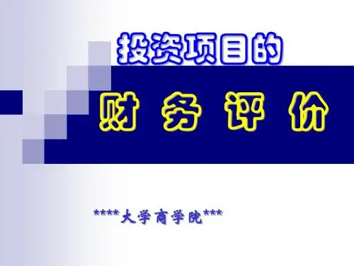 投资项目的财务评价