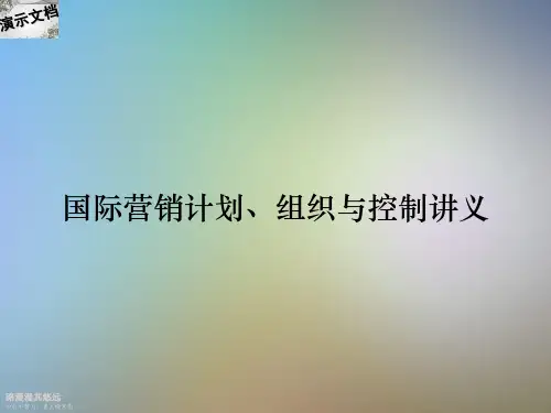 国际营销计划、组织与控制讲义