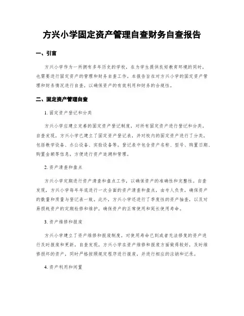 方兴小学固定资产管理自查财务自查报告