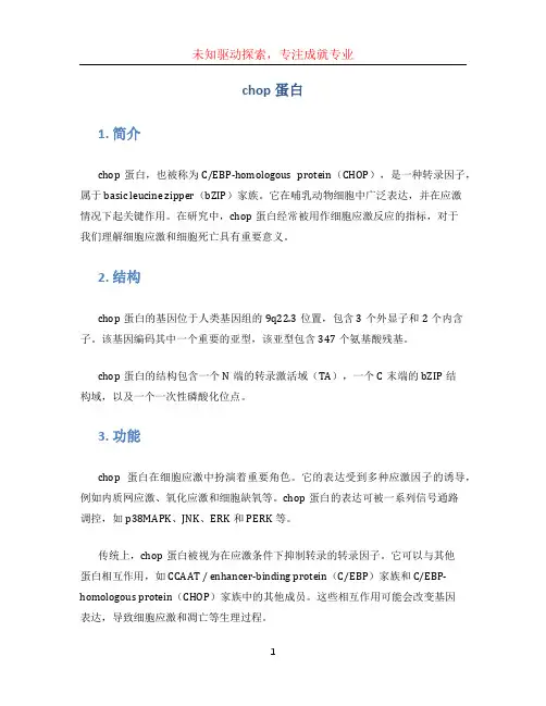 chop蛋白
