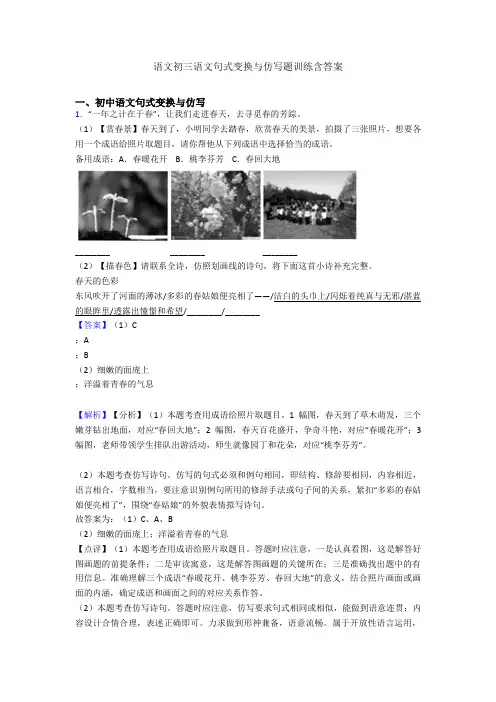 语文初三语文句式变换与仿写题训练含答案 2