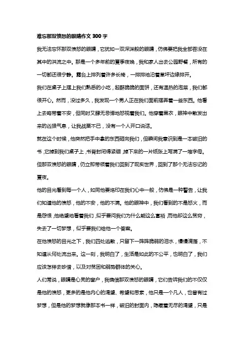 难忘那双愤怒的眼睛作文300字