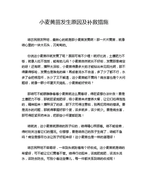 小麦黄苗发生原因及补救措施