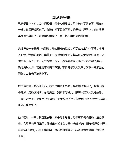 作文《风从哪里来》