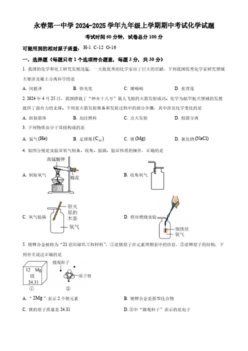 福建省泉州市永春第一中学2024-2025学年九年级上学期期中考试化学试题(含答案)