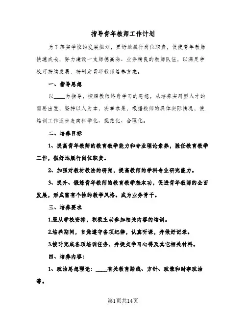 2024年指导青年教师工作计划(五篇)