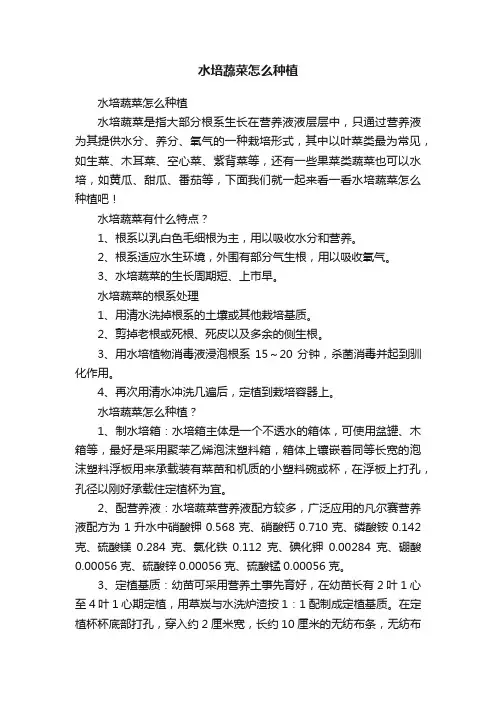 水培蔬菜怎么种植