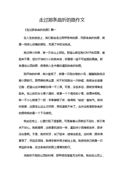 走过那条曲折的路作文