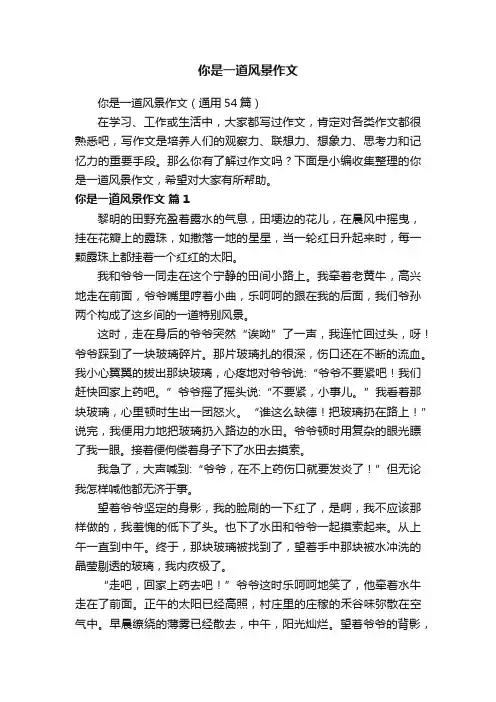 你是一道风景作文（通用54篇）