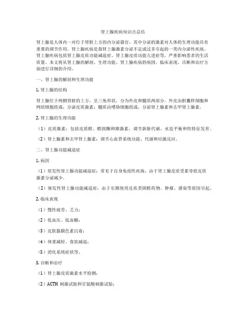 肾上腺疾病知识点总结