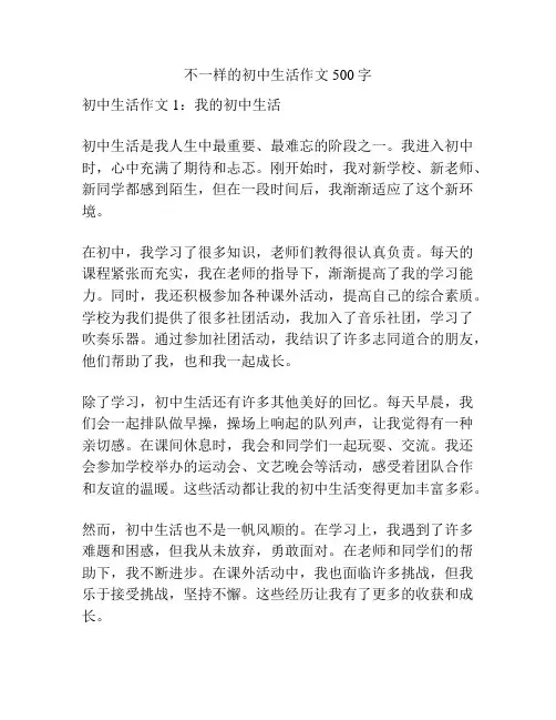 不一样的初中生活作文500字