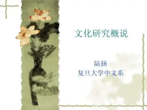 文化研究概说