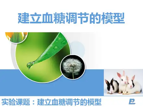 3.3建立血糖调节的模型高二上学期生物人教版选择性必修一