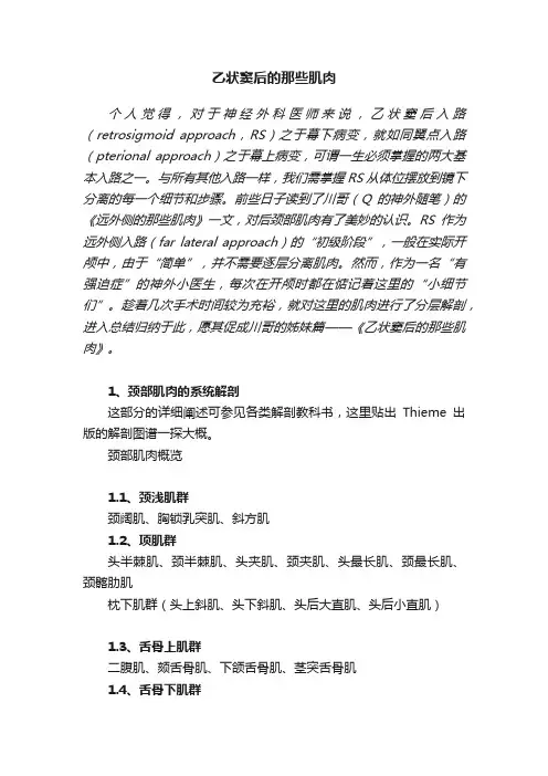 乙状窦后的那些肌肉