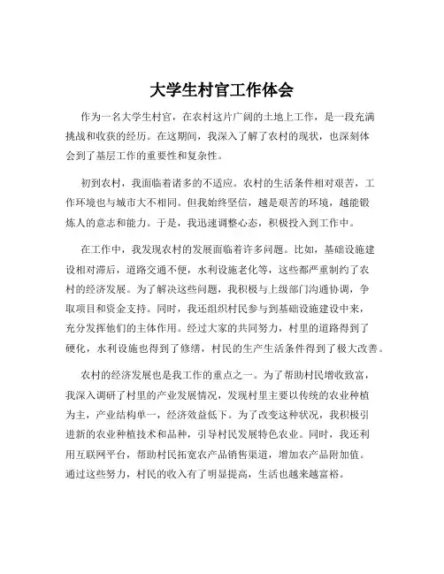 大学生村官工作体会