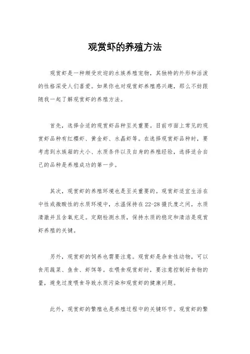 观赏虾的养殖方法